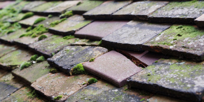 Dundridge roof repair costs